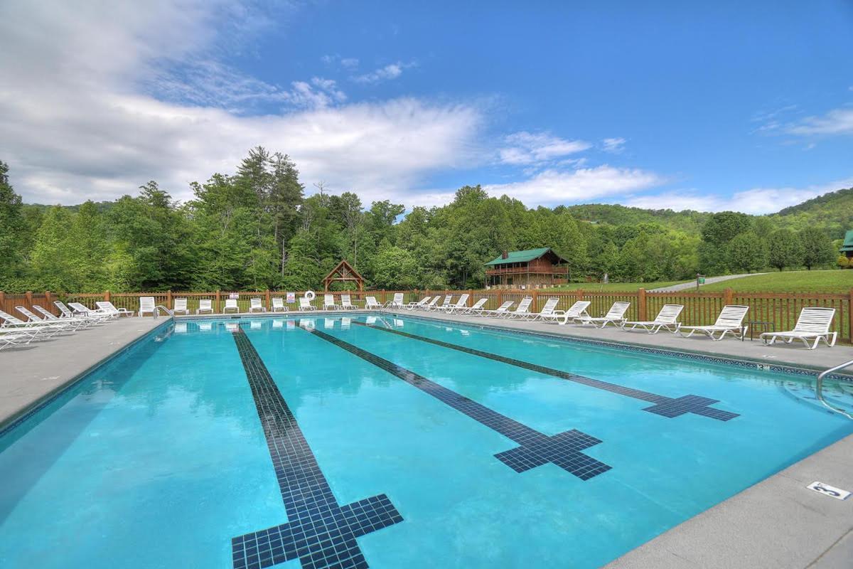 Owls Nest Tree House Hot Tub, Wifi, 1089 Free Tickets Each Paid Day, Dollywood And More سيفيرفيل المظهر الخارجي الصورة